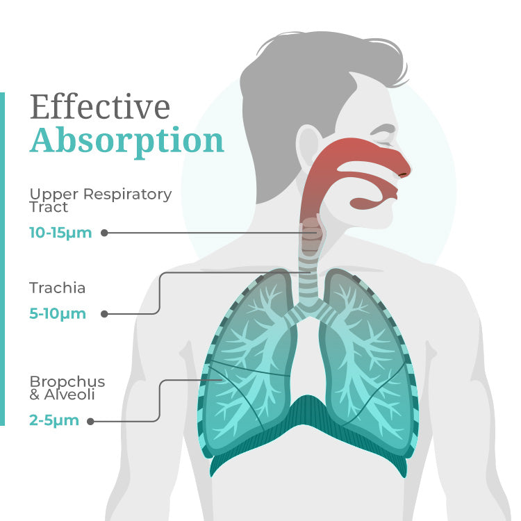 Rechargable Mini Nebulizer